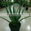 SJ30048946 Plastic asparagus plant/ artificial cactus plant for landscaping