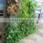 plastic green wall for living room decoration,mini green wall interior decoration