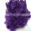 Virgin polyester fiber for filled raw white dyed color polyester fiber