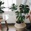 Indoor plants basket/Seagrass storage basket/Seagrass belly basket