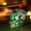 Silver Plastic Halloween Skull Head With LED Light