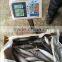 2016 landing sea frozen mackerel 300-500g