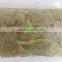 Private label available fresh ramen noodles instant slimming macaroni konjac penne