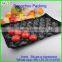 pengzhou plastic mushroom tray