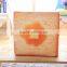 Amazon hot selling soft cat sponge cushion bread fruits printing pillow