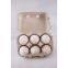 paper egg box packaging