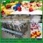 Semi Automatic Capsule Filling Machine/ Automatic/ Manual Power/ Liquid/ Granular Filling