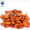 Almond nuts ginkgo apriot mandorle breaking and shelling machine on sale