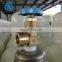 TPED Standard 150bar/200bar/300bar Steel Oxygen Gas Cylinder For Italy Market