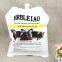 Customized 4L high quality food grade calf colostrum package for storage of colostrum fresh refill refrigerated bag