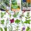 New design low cost pouch Herbs Oregano Packing machine Price