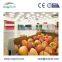 E-Polyurethane panels cold room for wine