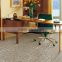 Price Factory Carpet High Quality Commerical Morden Design Hotel Tufted Carpet