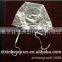 Disposable PVC Bull's Eye Frosting Tipping Cap for hair salon