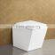 Two Piece White Glazed China Toilet
