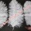 White Bulk Ostrich Feather For Wedding Centerpieces Decoration