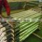 High quality API 5CT Well Slotted Casing Screen Pipe/Wraped Screen Pipe