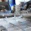DPP-250P Injection blister packing machine