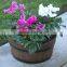 garden box of flowers wooden barrels