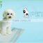 Super Absorbent Disposable Puppty Training Pads