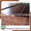 Chinese manufacturers supply Brown film faced plywood