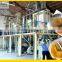 maize flour milling plant