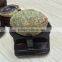 Natural Agate Geode Feng Shui Crystal Ornaments