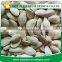 Chinese Salted Roasted Snow White Pumkin Seeds for sale