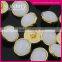 Fashion 30mm Gold Plating Rhinestone Button for Garments
