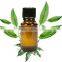 natural litsea cubeba oil litsea cubeba essential oil