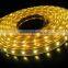 DC12V/24V/36V dc felxible decoration strip light SMD5050/3528SMD led strip lighting