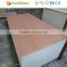 Custom 5'x8' Plywood for Furniture
