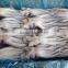 new arrival frozen illex squid head