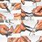 Glasses repair pliers ArcPlastic tool Holder Set