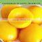 Delicious Canned Yellow Peach Hot Sale