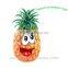 dried pineapple chips frozen fruits