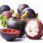 High Quality Mangosteen Extract Powder From Assessment Supplier