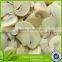 Chinese Canned mushroom wholesaler