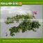 Best price selling of Dehydrated Leek/New harvested vegetables healthy and natural fresh Leek