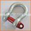 Factory Price Customized Galvanized Screw Pin d Shackle
