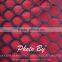 extruded plastic net