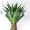 Evergreen fake tropical bonsai plants