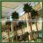 Established Artificial Washington Palm Trees Type House Plant Artificial Plants