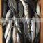 Frozen Mackerel 300-400g 2016