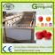 Vegetable Fruit Washing Machine/Vegetable cleaning machine/Stainless steel fruit washer