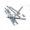 Manufacturers common electro galvanized twisted screw steel nails