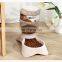 Automatic Pets Feeder Bowl Multi-angle Bevel Cat Dog Water Bowl Neck Protection