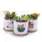 Japanese style grocery fresh cartoon white flower pot