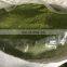 Green Seaweed Powder Best Price/ Dried Ulva Lactura Powder With High Quality