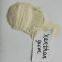 Xanthan Gum E415/FCC